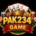 Pak234 Game