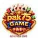 Pak75-Game