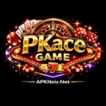 PKace Game