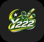 Y222 Game